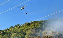 Ortaca'daki orman yangını kontrol altında