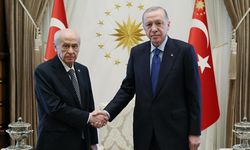 Cumhurbaşkanı Erdoğan ile Bahçeli görüşecek: Gözler saat 14:00'da