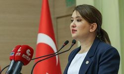 Muğla yargısının 'cinsel saldırı' kararı, Meclis gündeminde