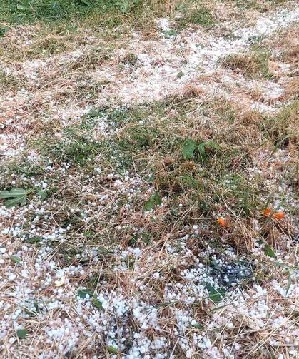Aydın ve İzmir’de meyve bahçelerini dolu vurdu