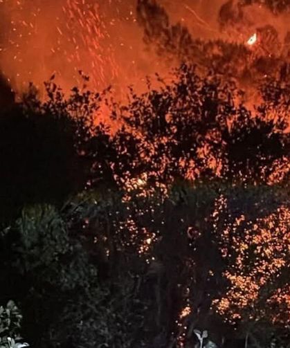 Dalaman'daki orman yangını büyümeden söndürüldü