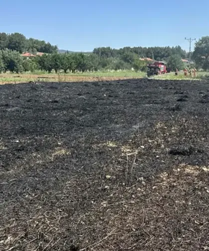 Menteşe'de akıma kapılan kuş yangına neden oldu
