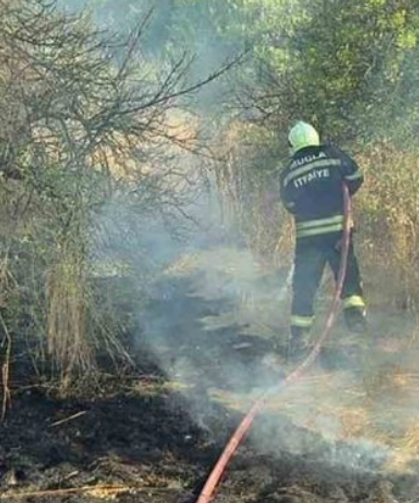 Muğla ve Aydın’da yıldırım kaynaklı altı orman yangını