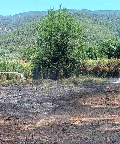 Yaraş'ta arazi yangını güçlükle söndürüldü
