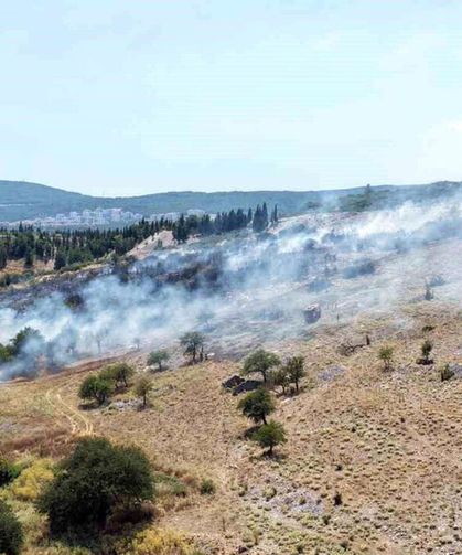 Menteşe'deki makilik ve zeytinlik yangını kontrol altında