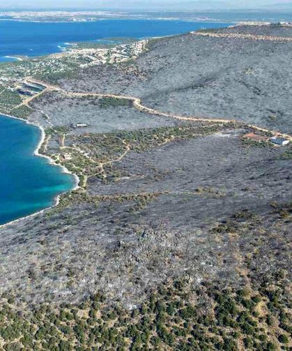 Milas yangını kontrol altında: 850 hektar kül oldu