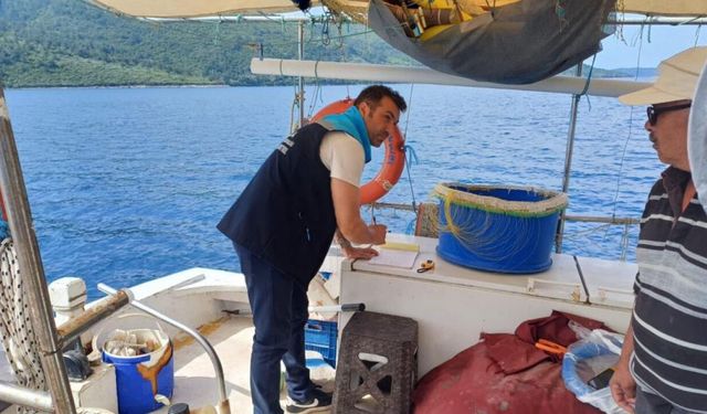 Gökova Körfezi'nde yasak avlanmaya müdahale ediliyor