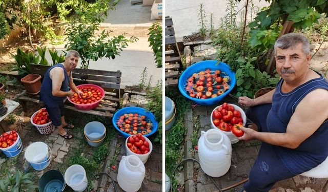 Havalar erken ısındı salça hazırlıkları başladı
