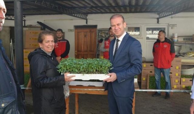 ATA TOHUMU FİDELERİ KÖYCEĞİZ'DE DAĞITILDI