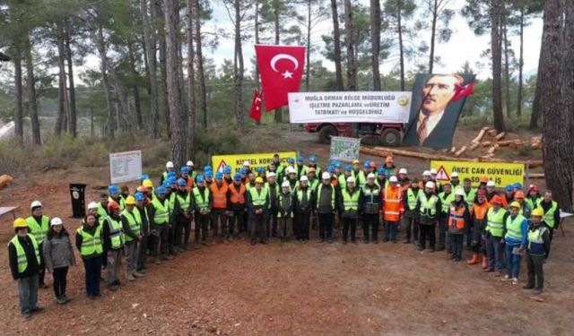 Kavaklıdere’de orman üretim tatbikatı