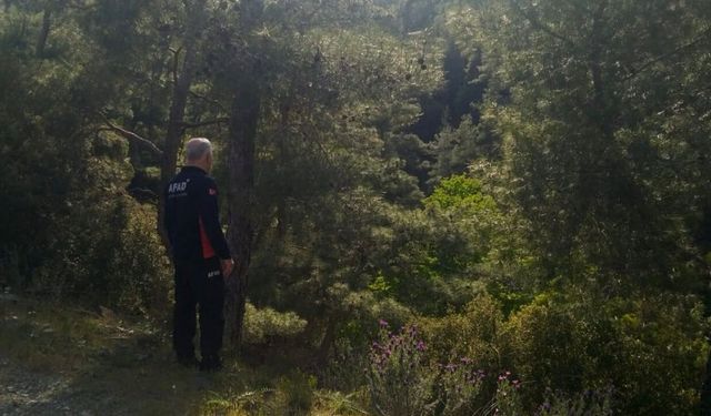 Kayıp genç orman arazisinde ölü bulundu