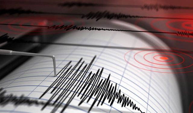 Muğla'da 4.9 şiddetinde deprem! Bodrum sallandı