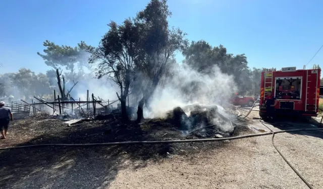 Seydikemer’de ahır yangını: 14 küçükbaş telef oldu!