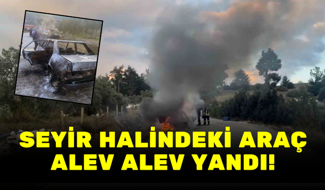 SEYİR HALİNDEKİ ARAÇ ALEV ALEV YANDI!