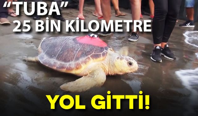 "CARETTA CARETTA TUBA" 25 BİN KİLOMETRE YOL KATETTİ!