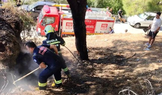 Menteşe'de ot yangını: Korkulan olmadı