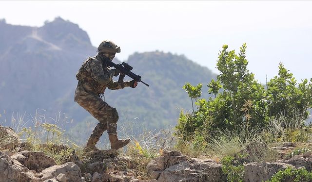 Fırat Kalkanı bölgesi ve Suriye'nin kuzeyinde operasyon