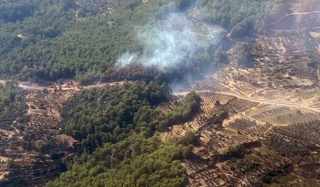 Seydikemer’de orman yangını paniği!