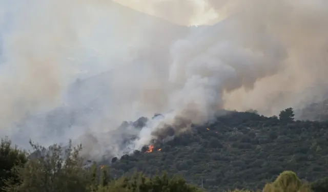 Muğla Seydikemer orman yangını kontrol altında!