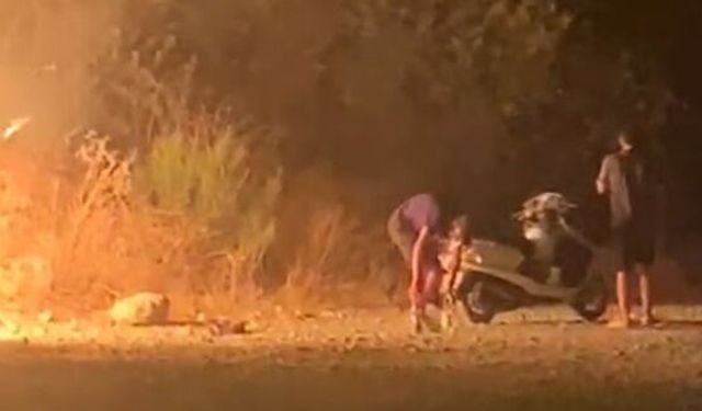 Dalaman’da ormanı ateşe veren 2 şüpheli yakalandı!