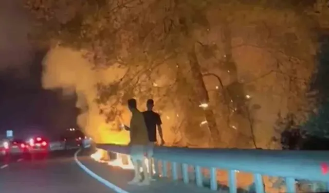 Ula Sakar Geçidi’nde orman yangını!