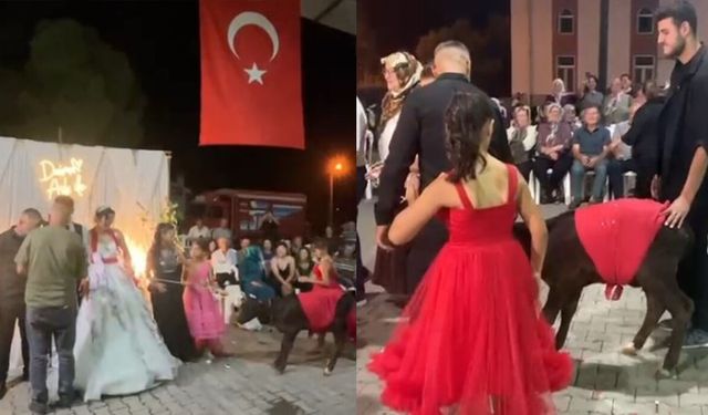Yatağan’da ilginç düğün! Böyle hediye görülmedi!