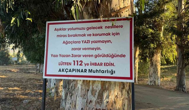 Aşıklar Yolu’ndaki ağaçları kazıyanlara tabelalı uyarı!