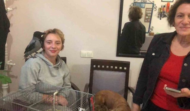 Datçalı karga Rıfkı kahvehane bağımlısı oldu!