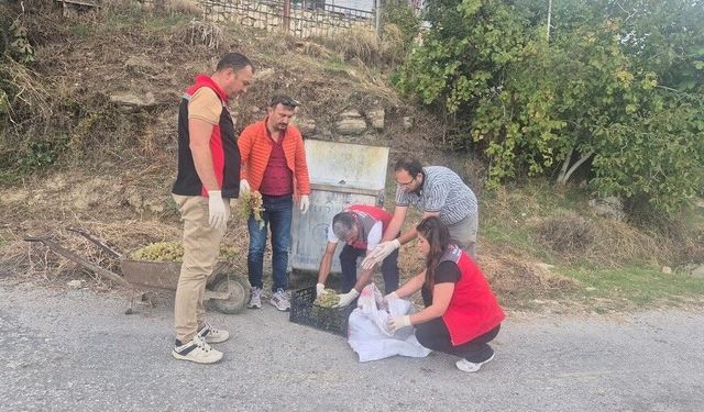 Hasat öncesi sıkı denetim: Seydikemer'de yasaklı pestisit bulundu