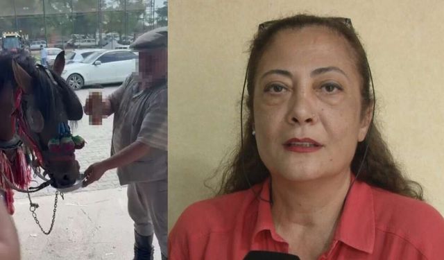 Muğla’da at, alkol bağımlısı yapılmıştı: Hayvanseverlerden sert tepki