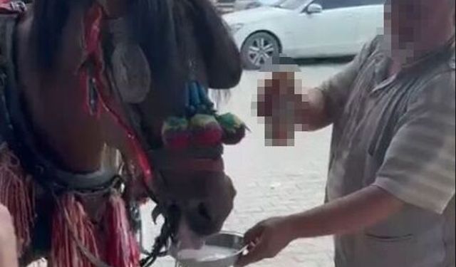 Yatağan’da akılalmaz sorumsuzluk! Düğünde ata alkol içirdiler