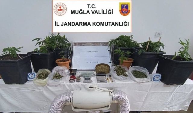 Gökova’da jandarmadan nefes kesen baskın: Ev, uyuşturucu imalathanesi çıktı!