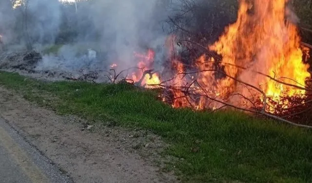 Milas’ta iki farklı noktada yangın!