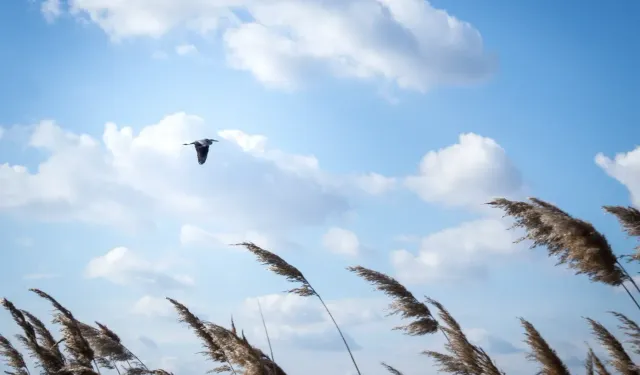 Meteoroloji açıkladı: Muğla’da hava nasıl olacak?