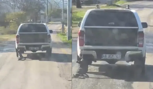 Köpeği sürükleyen 2 kişi yakalandı: Milas’taki vahşette “gereği yapıldı”