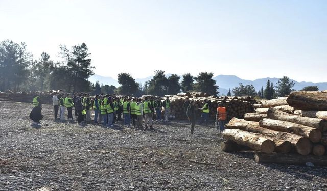 Köyceğiz Meslek Yüksekokulu öğrencileri eğitimlerini arazide sürdürüyor