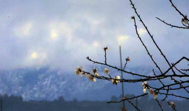 Muğla’da Kış ve Bahar Aynı Karede