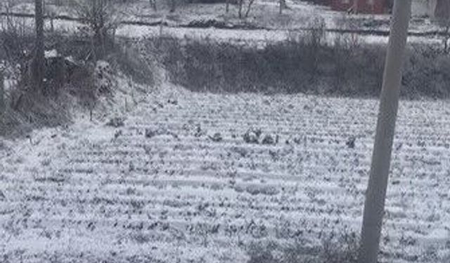 Aydın’ın Yüksek Kesimleri Beyaza Büründü