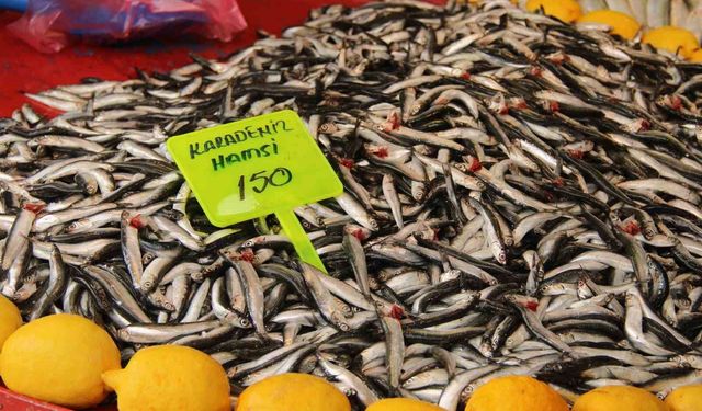 Menteşe’de Hamsi Bolluğu Fiyatlara Yansıdı