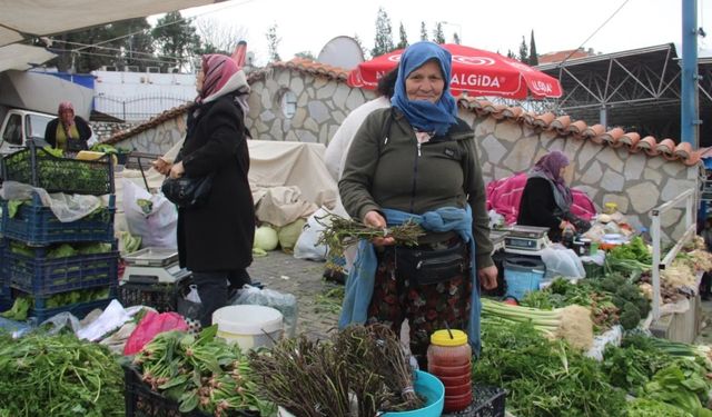 Menteşe Pazarında Tilkişen Otu Tezgahlarda Yer Aldı, Fiyatı da Cep Yaktı