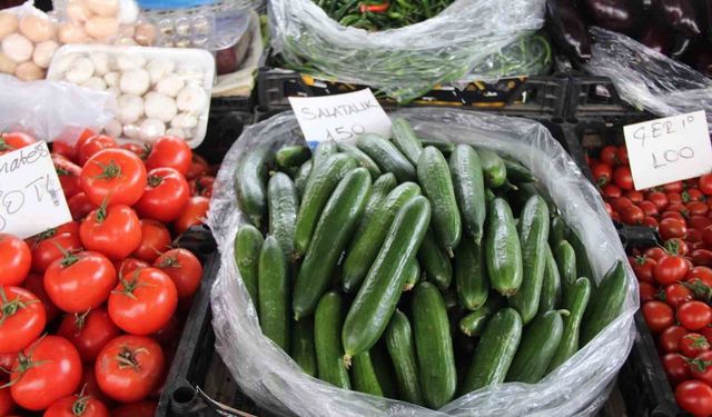 Seralardaki Zarar Salatalık Fiyatını Uçurdu