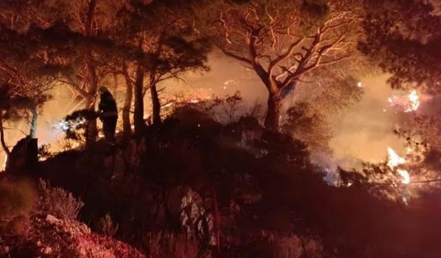 Bodrum’da Korkutan Yangın! 2 Dönümlük Arazi Kül Oldu