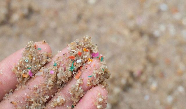 Datça Çevre Koruma Bölgesi'nde mikroplastik kirliliği
