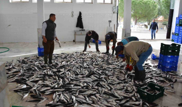 Muğla’dan ihracat başarısı: Ege Bölgesi’nde 4’üncü il oldu