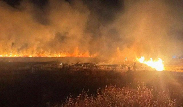 Diyarbakır'da ceza kararına rağmen yine anız yangını: Korkuttu