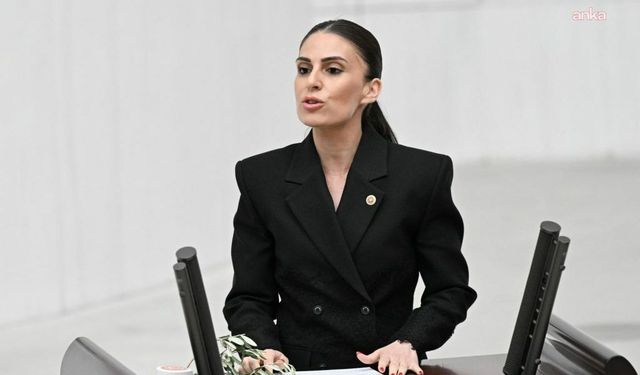 CHP Milletvekili Özcan Marmaris'te deprem riski nedeniyle kapatılan okulları sordu