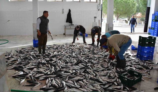 Muğla ihracatını arttıran iller arasında yer aldı