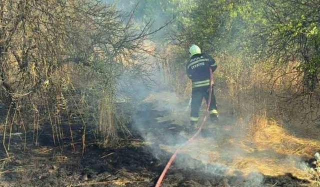 Muğla ve Aydın’da yıldırım kaynaklı altı orman yangını