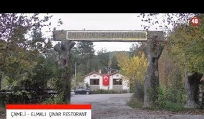 ÇAMELİ'DE YENİ BİR DURAK: ÇINAR RESTORAN