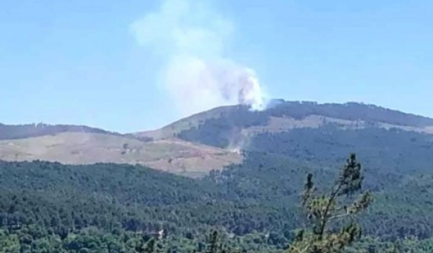 KAVAKLIDERE'DE ORMAN YANGINI